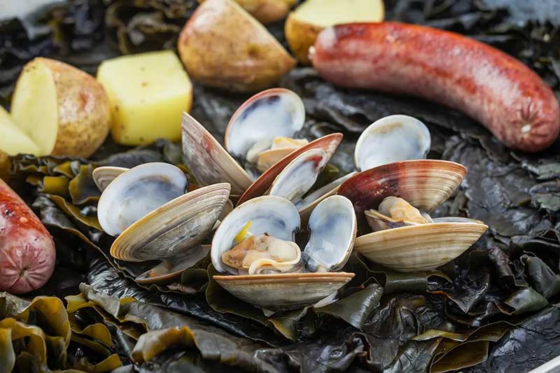 clam bake catering quincy ma